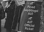 AUT Official Picket