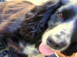 Community Animal Action Week ran from Monday 15th October until Friday 19th October