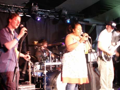 The bands
