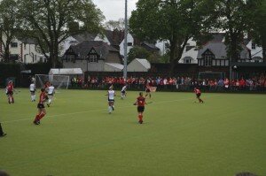 Hockey (Small)
