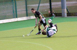 IMG_1066 - focus (Small)