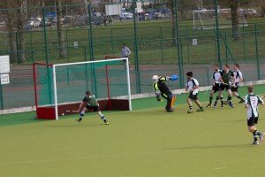 IMG_1067 (Medium)