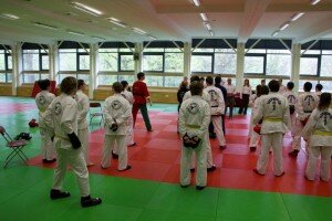 IMG_2010 (Small)