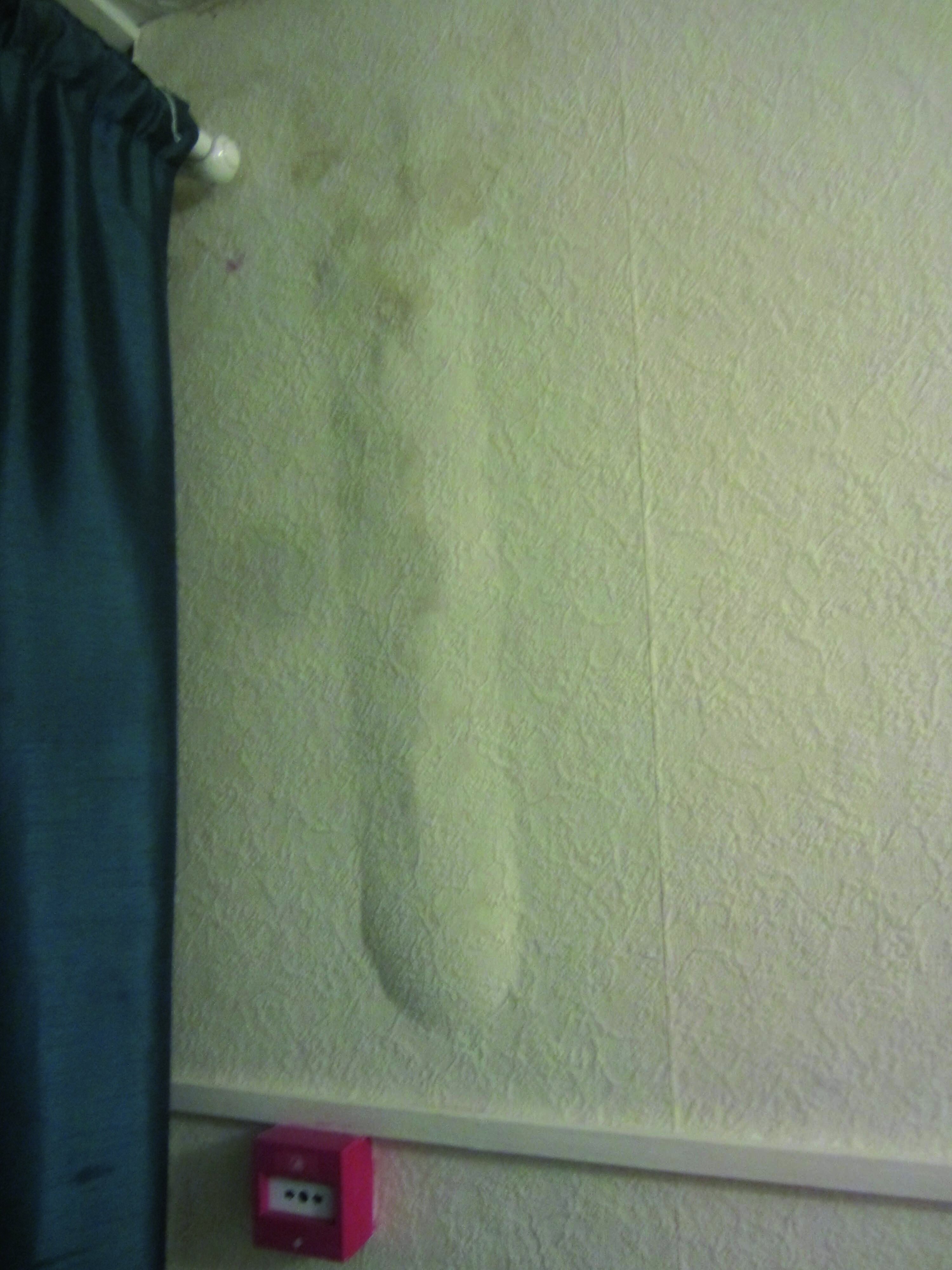 bubble on melissa's wall