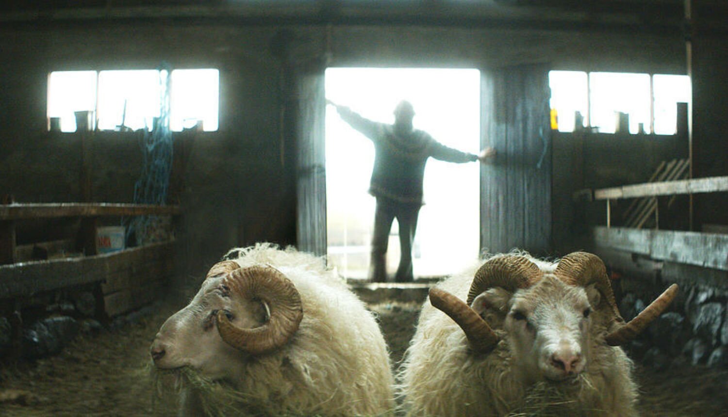 Rams2