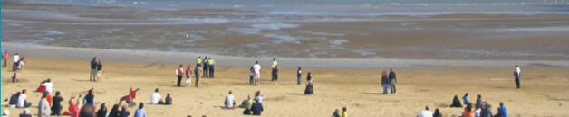 swanbeachfeature