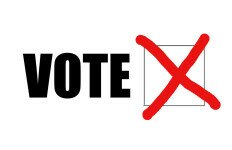 vote